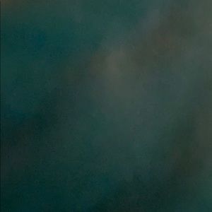 Meet your Posher, Celina